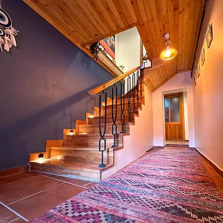 Stayhouse's - Modern,peaceful & Unique Mansion Eskisehir