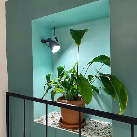Stayhouse's - Modern,peaceful & Unique Mansion * Eskisehir